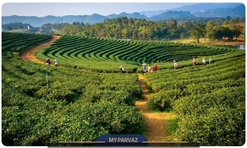 تأثیر جغرافیا بر اقتصاد سریلانکا